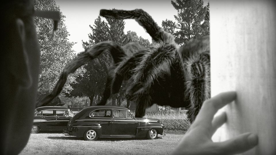 giant-spider01.jpg